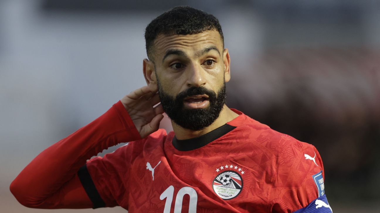 FIFA要求埃及世界杯球衣移除七颗星 另改号码颜色